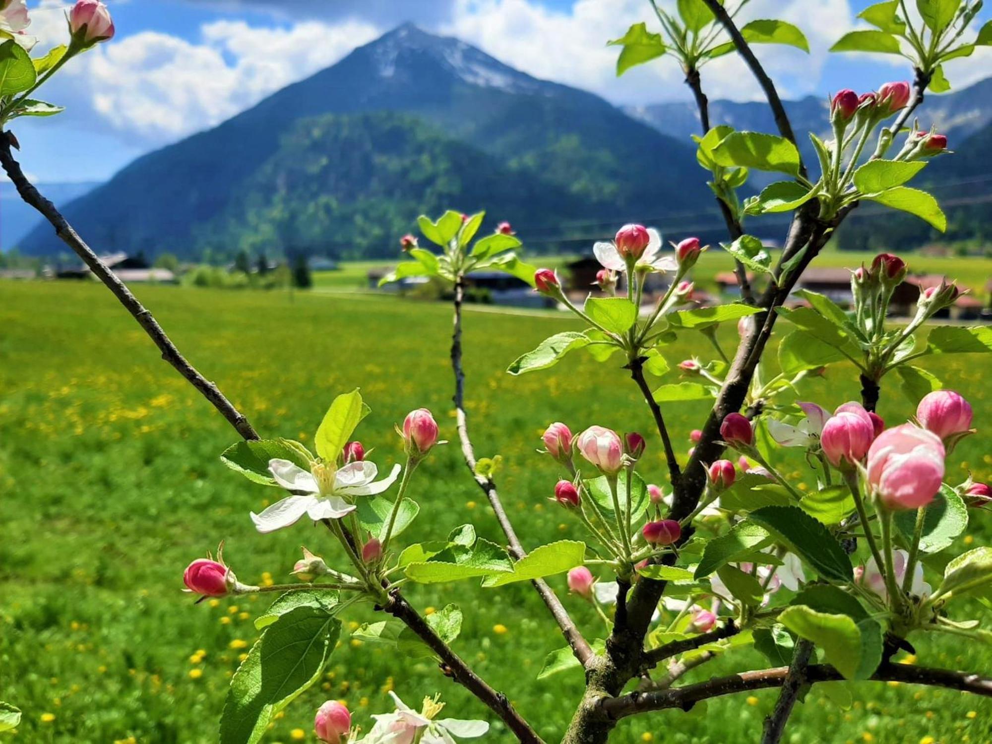 Pulvererhof Achenkirch Exterior foto